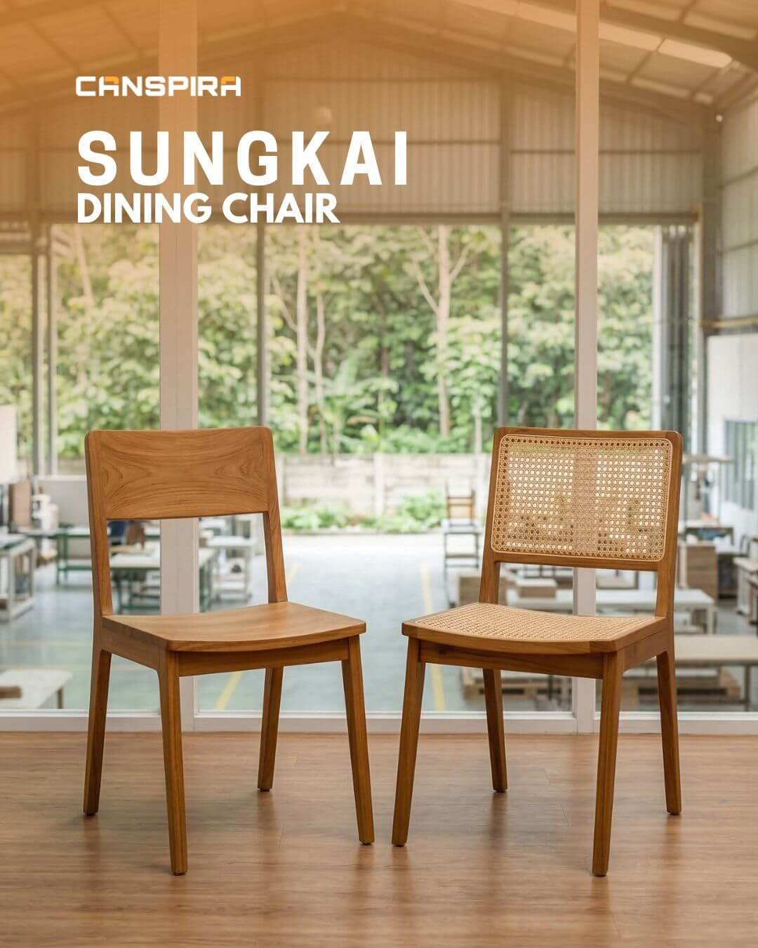 sungkai dining chair